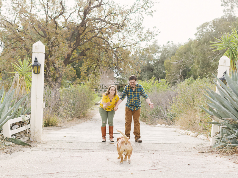 small brown dog running to his family, creative engagement photos