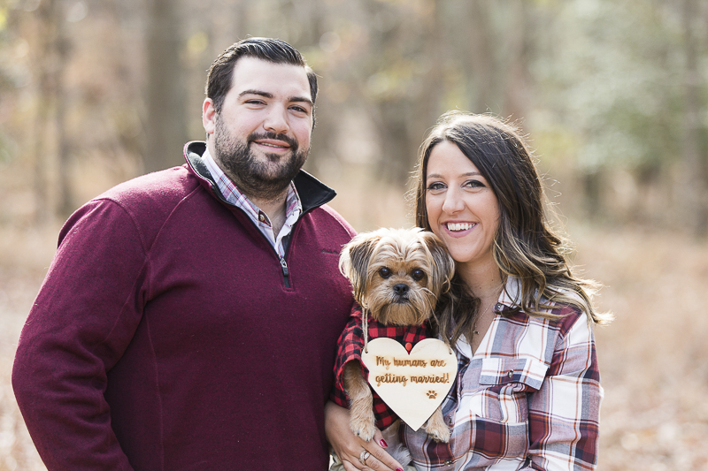 fall dog friendly engagement photos with small dog | ©Limelight Entertainment Photography