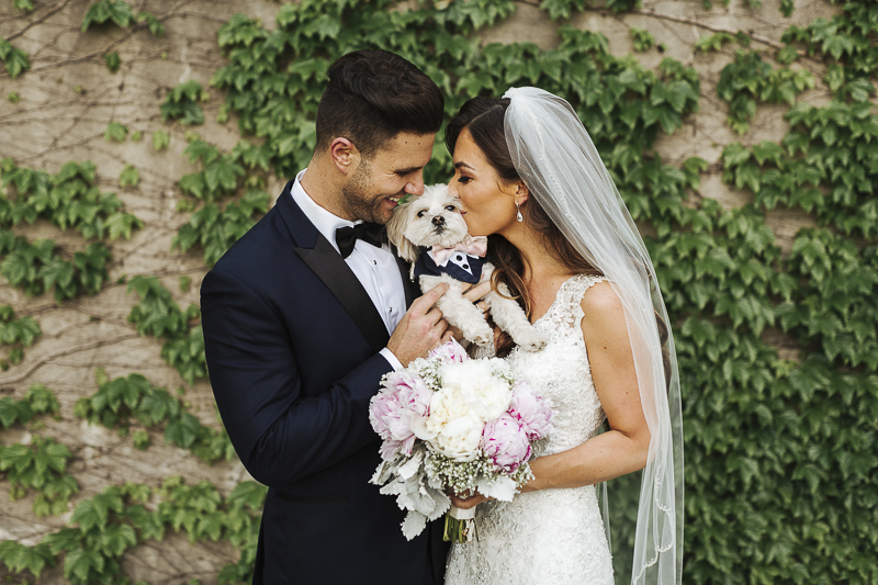 Morkie, bride, groom pet-friendly wedding ©Mioara Dragan Photography