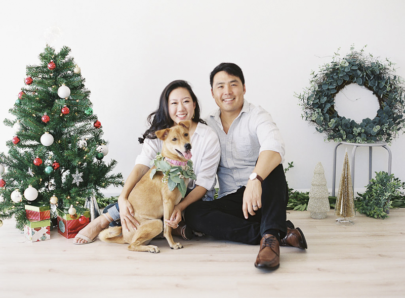 Formosan Mountain Dog mix, ©Stephanie Gan Photography | Studio holiday photos with a dog