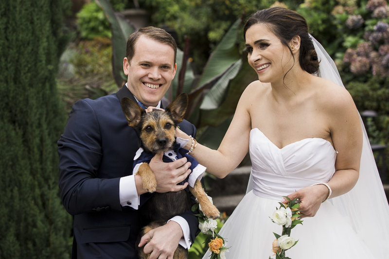 groom and dog in matching tuxedos, bride petting dog, ©Stephanie Cristalli Photography | dog ring bearer, wedding photos with dogs