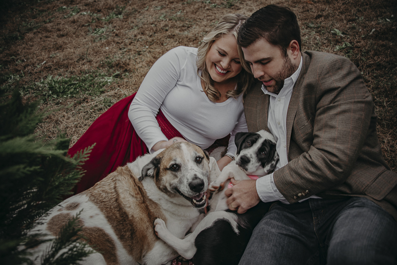 ©Nathalia Frykman Photography | Christmas holiday photo shoot ideas, dogs and their humans, pets are family