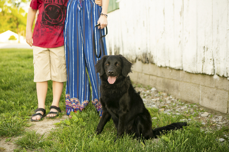 handsome teen dog and his family, ©Mandy Whitley Photography | Nashville puppy portraits