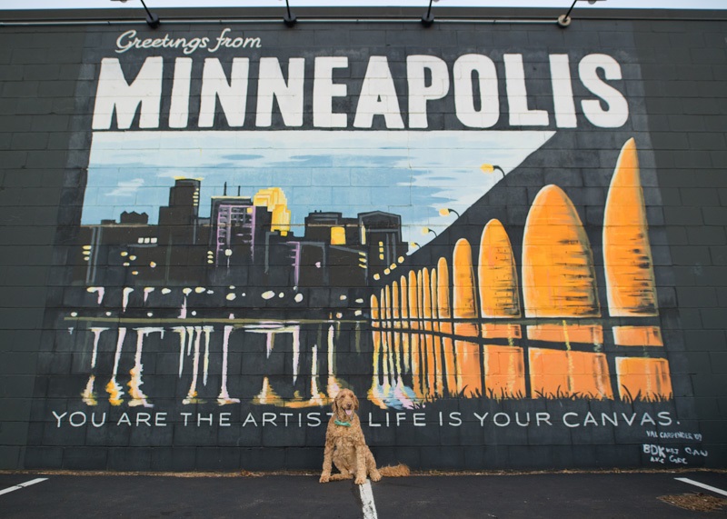 Spencer the Goldendoodle greetings from Minneapolis mural ©About A Dog Photography