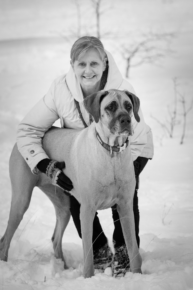 love between dogs and humans, woman and her Great Dane in the snow | ©Tangled Lilac Photography, Flagstaff, AZ pet photography