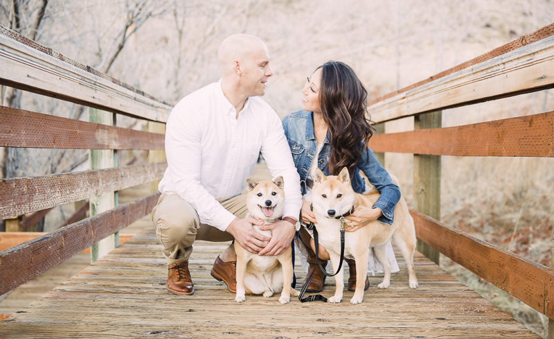 Engagement Photos With Shiba Inus Red Rock Canyon Nevada