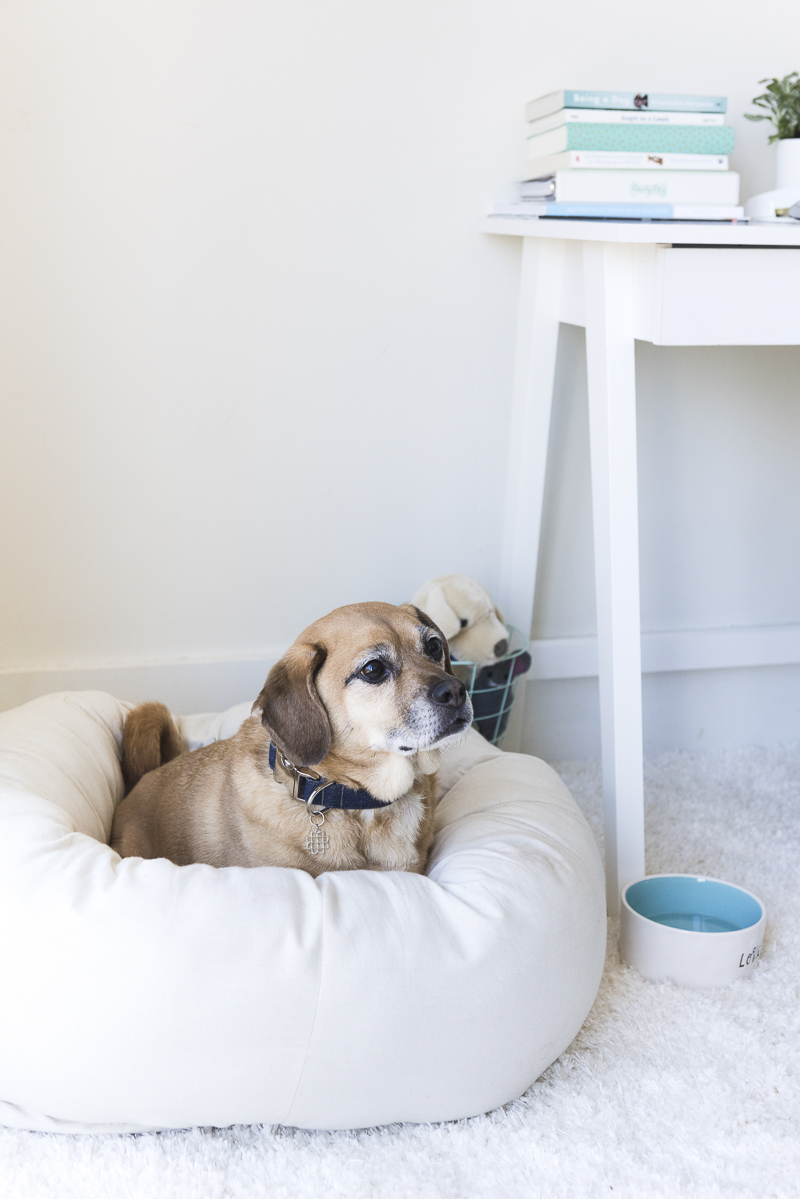 15 Orange Office Decor Must-Haves - 3 Boys and a Dog