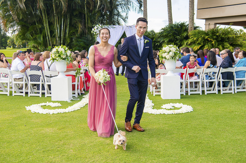 Shih Tzu-Yorkie mix, dog-friendly wedding | ©Toni Jade Photography 