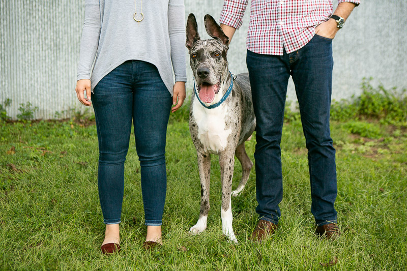 Great Dane and his humans, ©Mandy Whitley Pet Photography | Nashville Pet Photographer