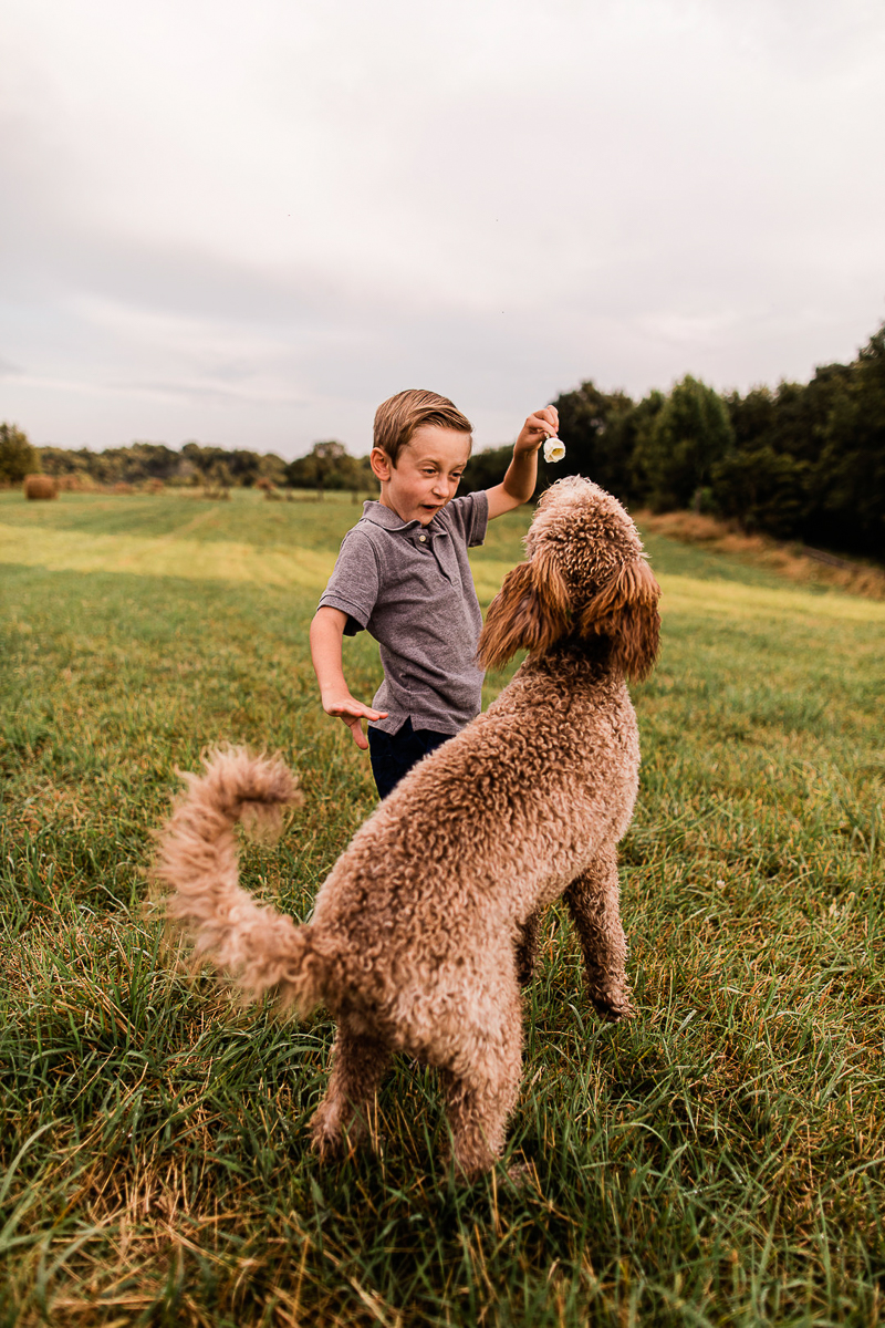 boy playing Goldendoodle | © Jasmine White Photography | lifestyle dog photography