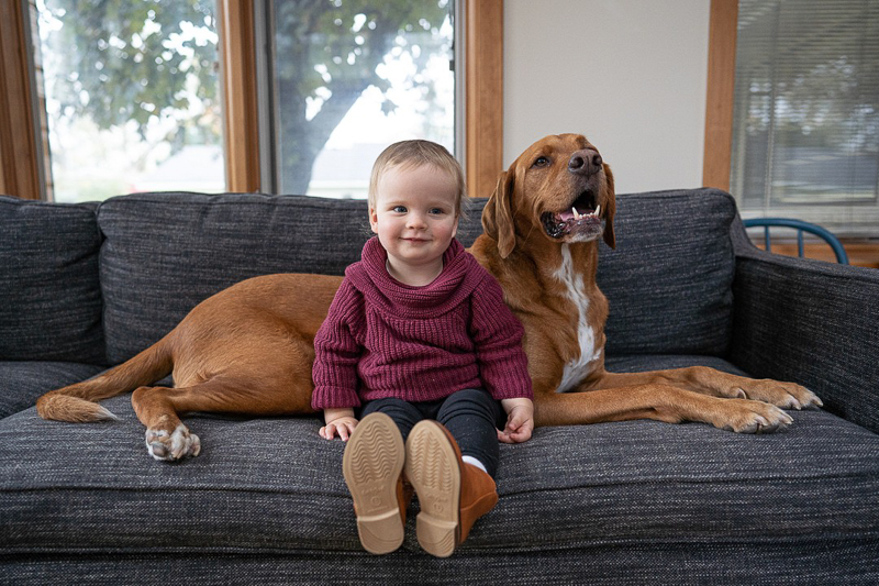 child and dog sitting on sofa, dog-friendly in-home session, Madison, WI