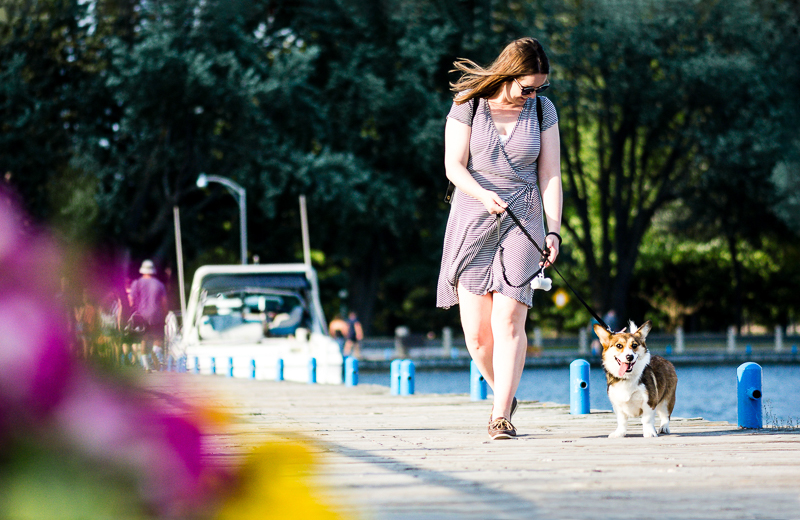 woman walking her dog along a dock | ©Beth Photography, Ottawa pet photographer
