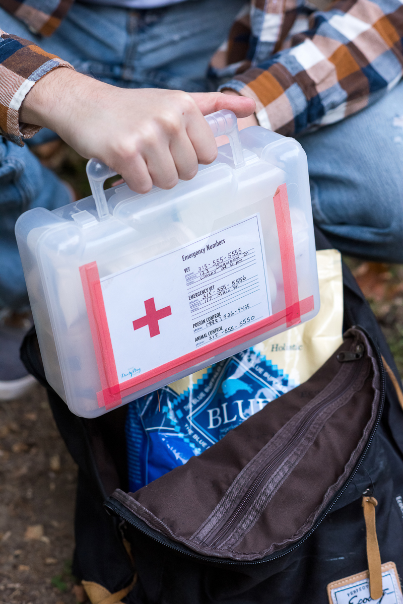 dog first aid kit | © Alice G Patterson Photography