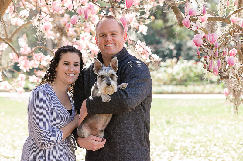 dog-friendly family portraits, couple holding mini Schnauzer under Magnolia tree © Charleston Photo Art 