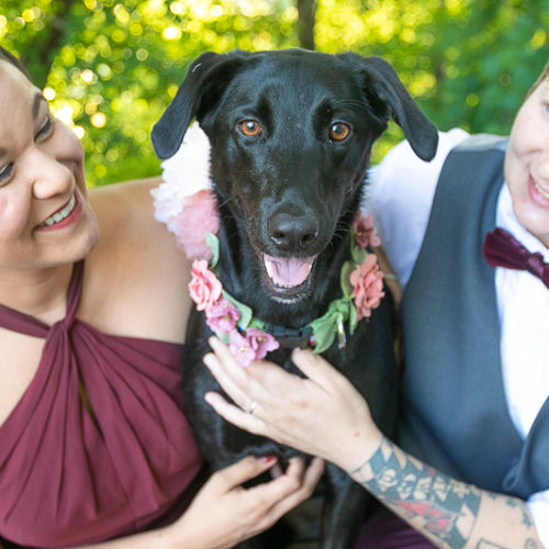 7 Tips For Having Your Dog At Your Engagement Session