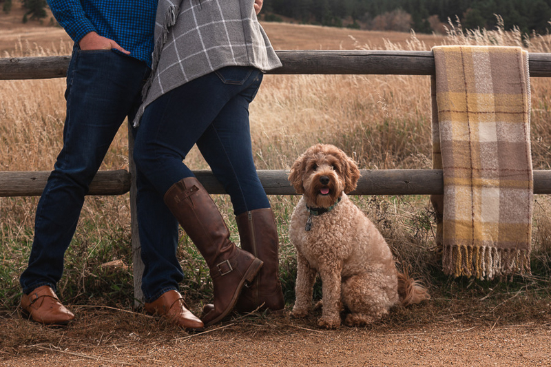 are dogs allowed at chautauqua park