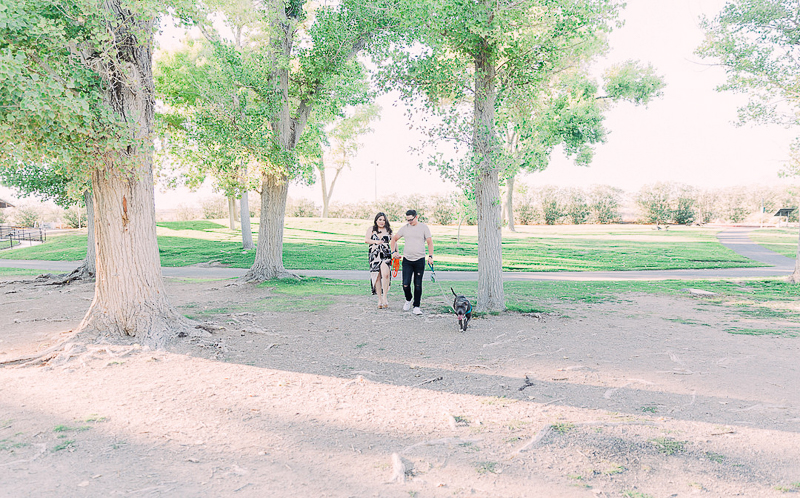 couple holding hands and walking their dog | lifestyle engagement photography ©Fig + Willow Studios