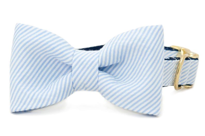 light blue seersucker bow tie collar for dogs