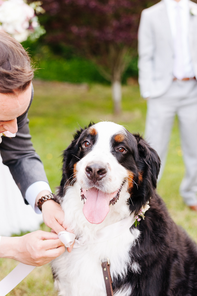 including dogs in wedding, BMD, ©J Tobiason Photography | Woodinville, WA