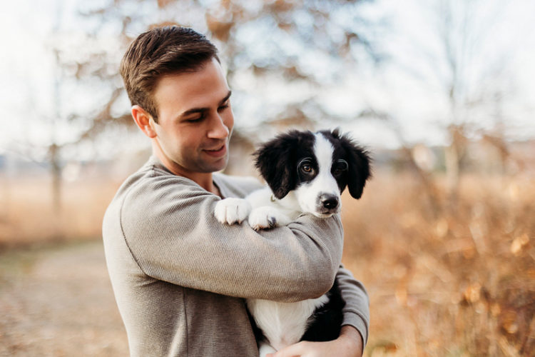 Puppy Love: Rio the Border Collie Mix | West Lafayette, IN - Daily Dog Tag