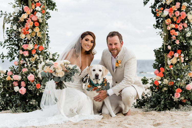 just married, dog-friendly beach wedding, Cabo