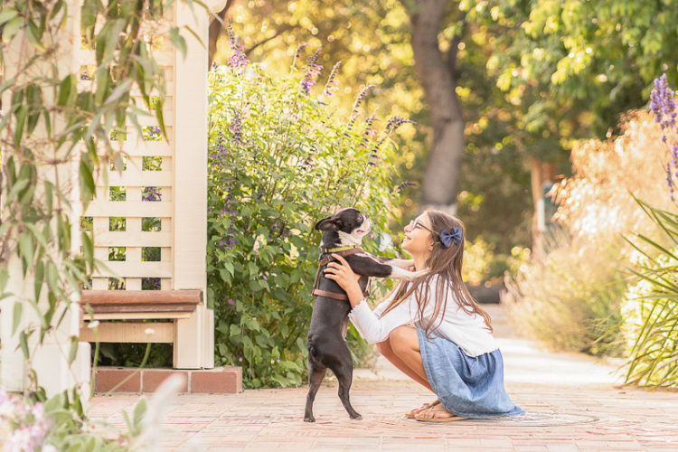 girl and her Boston Terrier, Palo Alto portraits | ©Laura Michele Photography