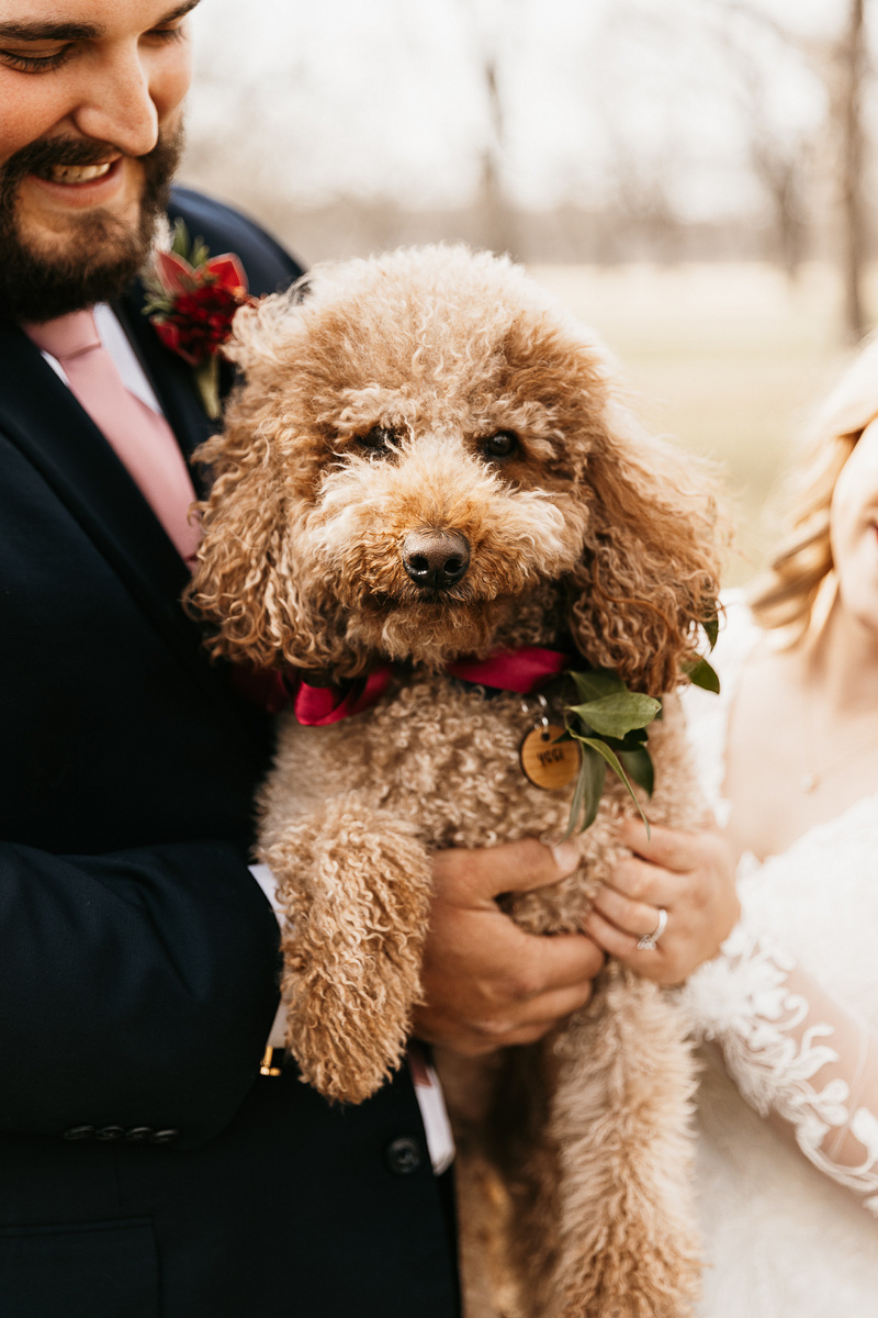 Best (Wedding) Dog | Tulsa, OK - Daily Dog Tag