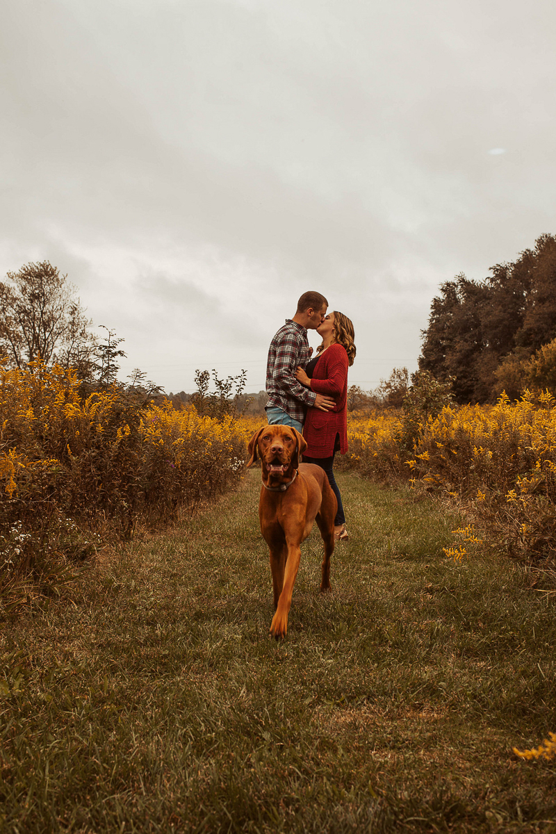 fall dog-friendly engagement photos with Vizsla ©OnFaith Photography